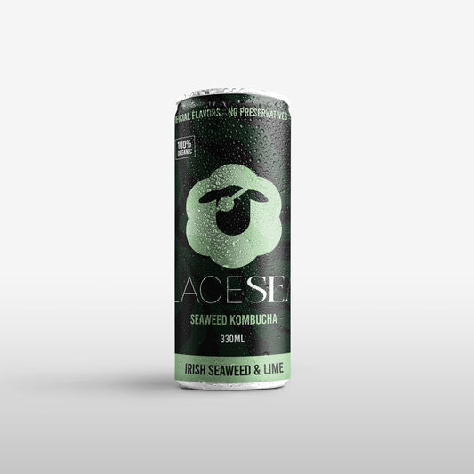 LaceSea Kombucha Seaweed & Lime